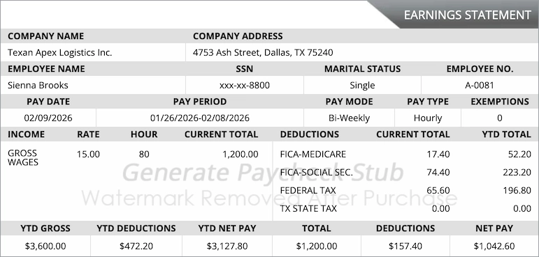 Professional pay stub template preview