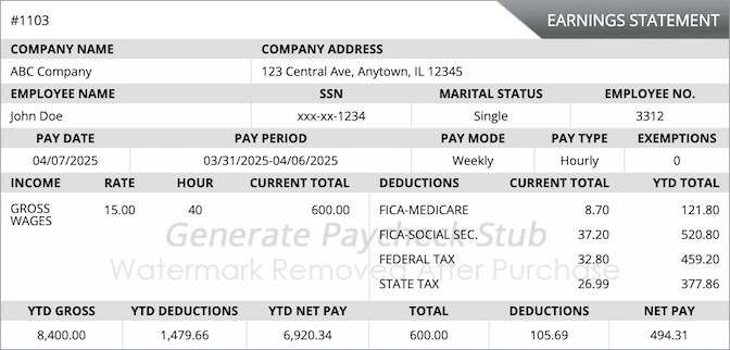 Regular Paycheck Stub